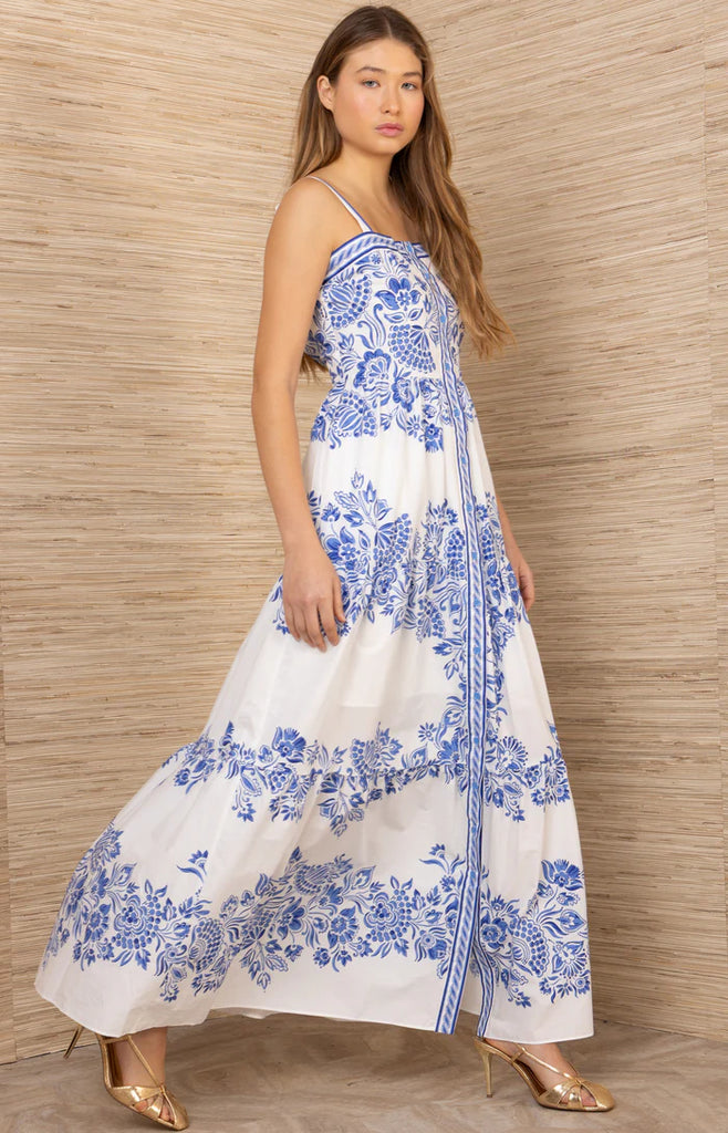 Hale Bob Jream Maxi Dress Hale Bob Jream Maxi Dress